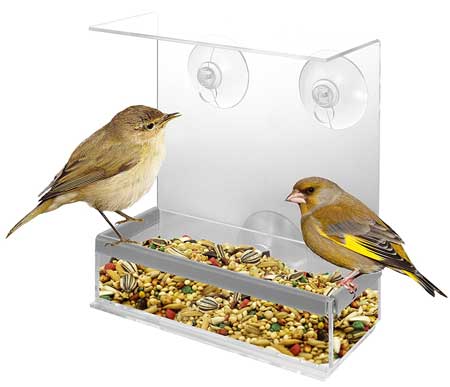 Best Rated Window Bird Feeder Reviewed - doorstepzoo.com