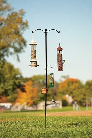 Cool Bird Tables Stands and Feeding Stations - doorstepzoo.com